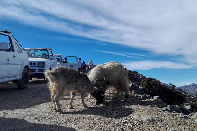 4x4 self drive adventure_Cretan mainland - Omalia Olive Press: a useful first stop