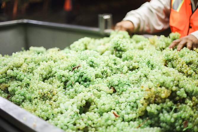Afternoon Tour: Soap, Olive Oil & Wine Stories of Peza Village - A winery visit built around Vidiano and Kotsifali