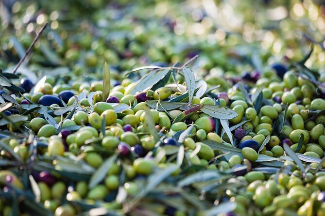 Afternoon Tour: Soap, Olive Oil & Wine Stories of Peza Village - The food question: what you should confirm