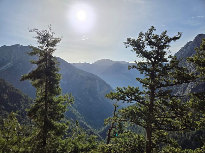 Agia Marina: Discover Samaria, the longest gorge in Europe! - Key points to know before booking