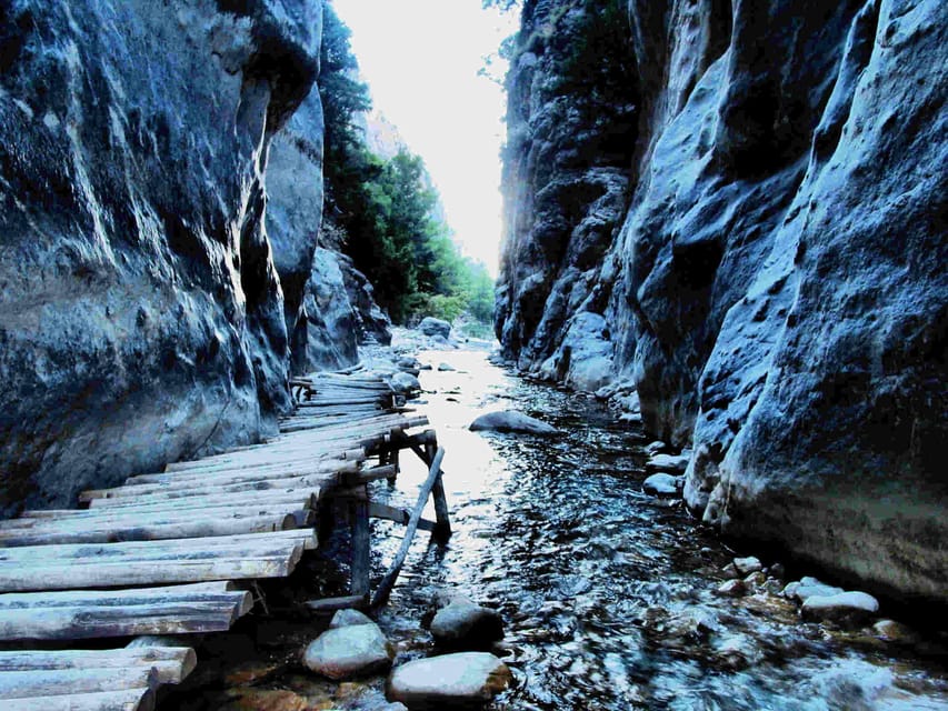 Agia Marina: Discover Samaria, the longest gorge in Europe! - Ancient trees, clear rivers, and mountain goats