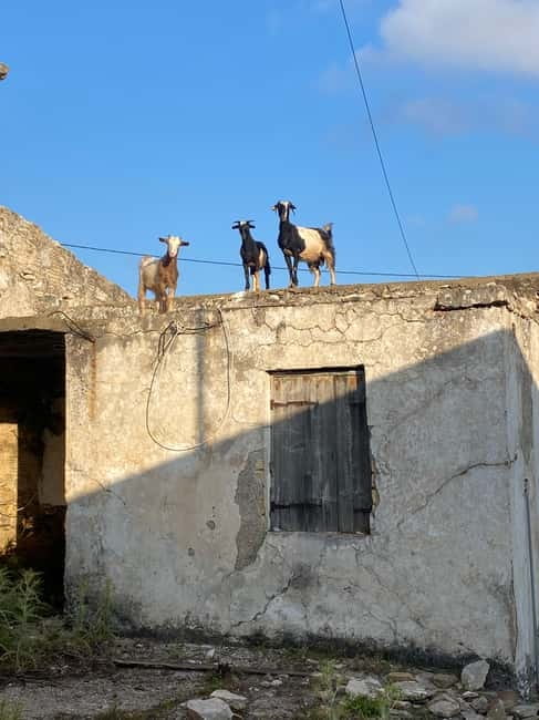 Agia Pelagia: Sunset or Morning Quad Tour & Ghost Town Visit - Returning to the base with raki and a sweet