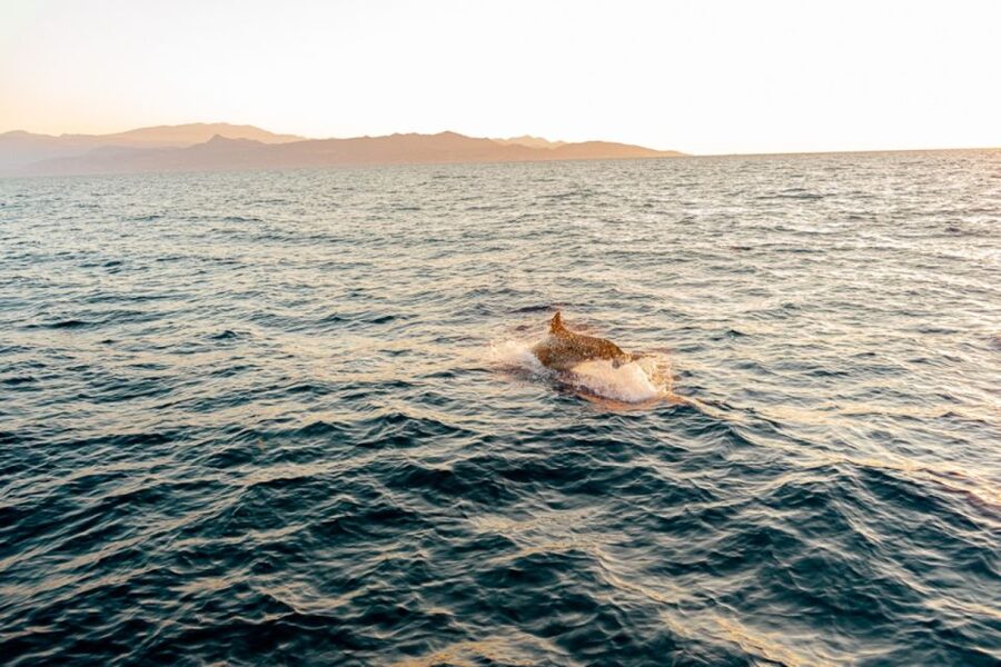 Agios Nikolaos: Mirabello Bay Sailing Cruise with Meal - Who will get the most from this cruise