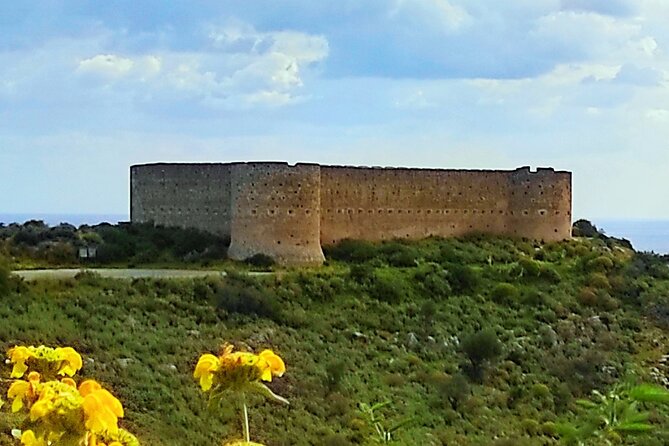 All Inclusive Full-day Private Tour of Crete Villages from Chania - What the guide adds to the day