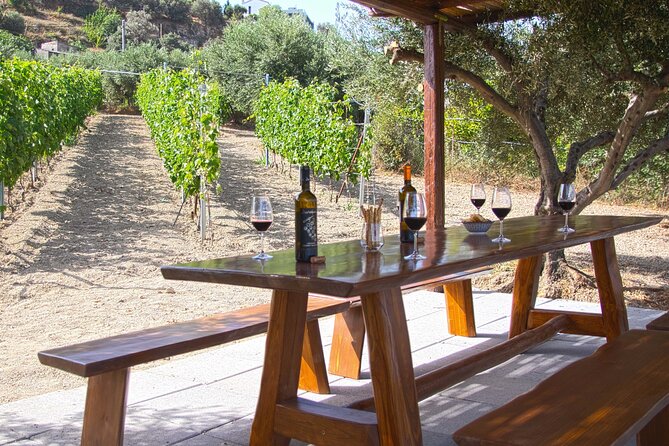 “ARISMARI” – Vineyard Tour & Wine Tasting - Six estate wines under the pergola