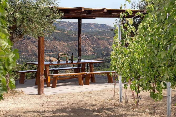 “ARISMARI” – Vineyard Tour & Wine Tasting - Is $56.41 a fair price?