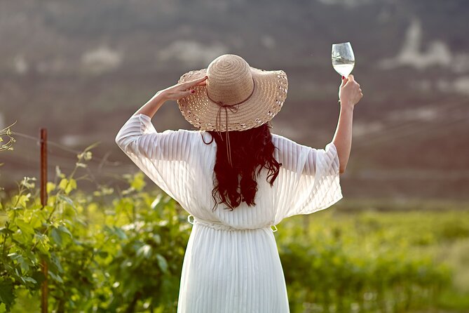 “ARISMARI” – Vineyard Tour & Wine Tasting - Walking through the sunlit vineyard
