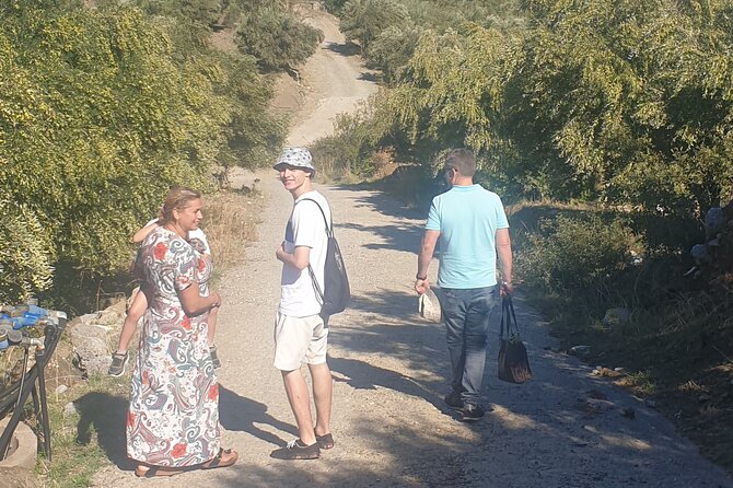 Authentic Olive Oil and Cultural Experience in Crete - Among the olive groves of Kritsa