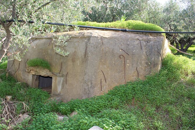 Battle of Crete Full Day Private Tour in Chania - Chania’s ANZAC battlefield connection