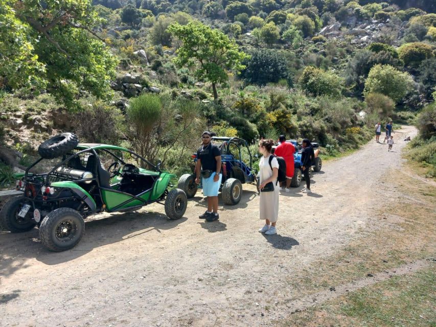 buggy safari half day 4 hours 4 hours ( hersonissos -Malia) - Malia Palace From the Road