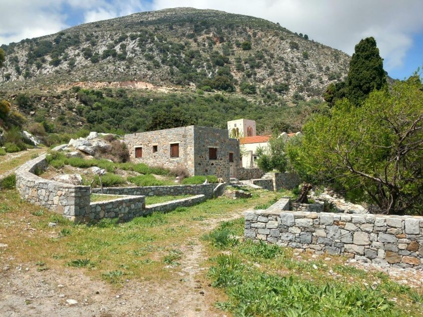buggy safari half day 4 hours 4 hours ( hersonissos -Malia) - Olive Oil at Vasilakis Estate