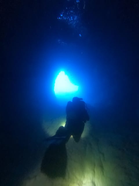 Chania: 2 Boat Dives for Certified Divers - Why Elephant Cave Makes This Trip Different