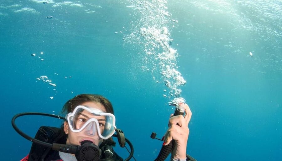 Chania: 2 Boat Dives for Certified Divers - A Four-Hour Morning or Afternoon at Sea