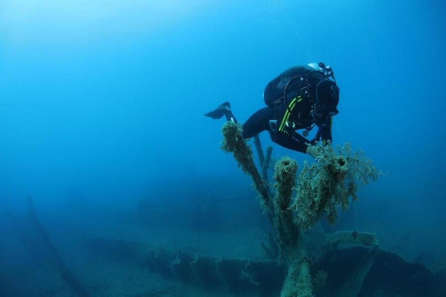 Chania: 2 Boat Dives for Certified Divers - Timing Your Trip Around the 24-Hour Flight Rule