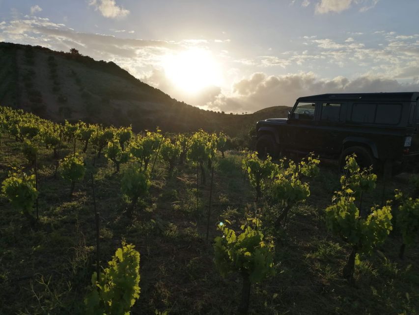 Chania 4x4 Sunset Safari Tour - Returning after dark