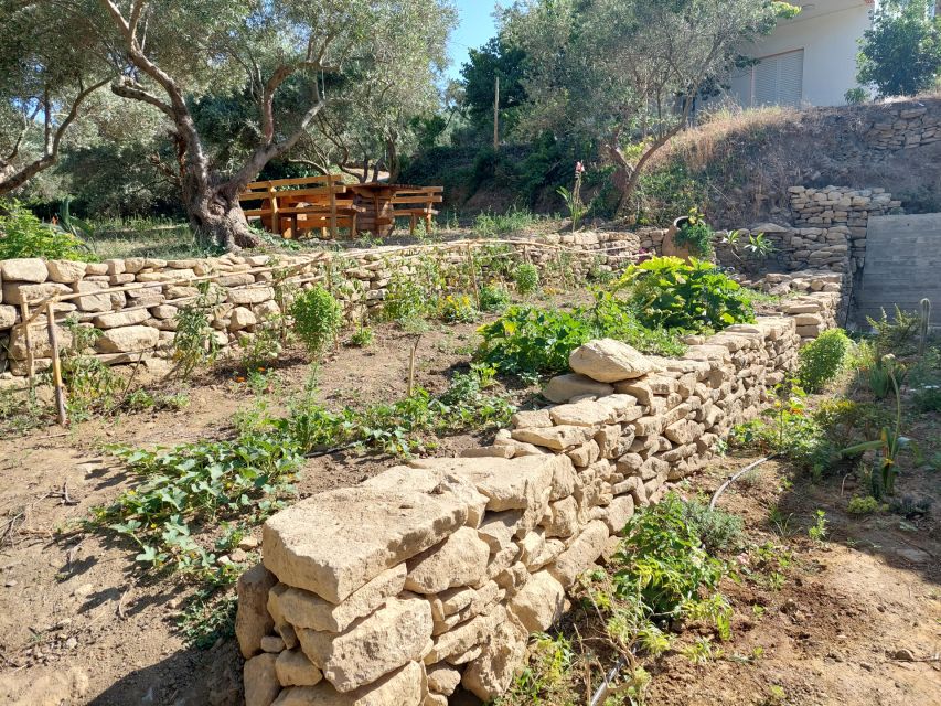 Chania: 5-Wine Tasting with Locals in Village near Kissamos - Should you book the PoTolo wine tasting?