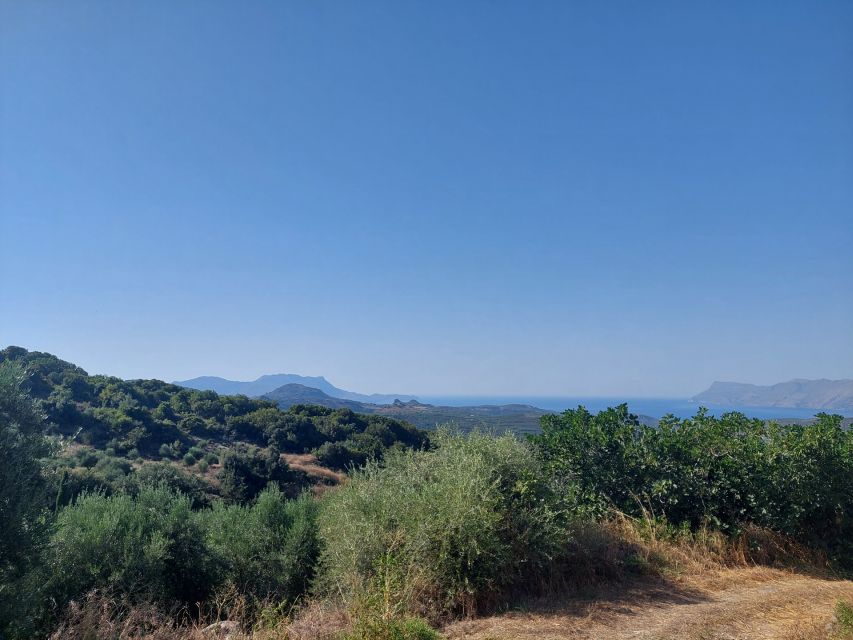 Chania: 5-Wine Tasting with Locals in Village near Kissamos - Arriving in a quiet village near Kissamos