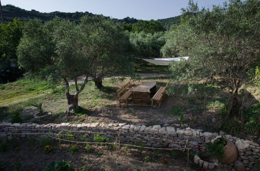 Chania: 5-Wine Tasting with Locals in Village near Kissamos - Is $58 a fair price?