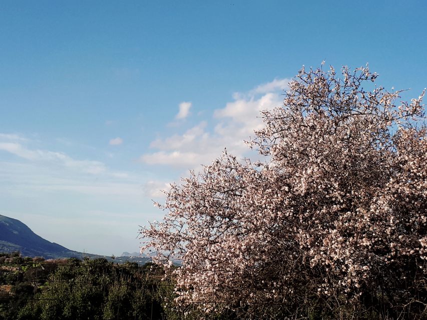 Chania: 7 Villages of Apokoronas Tour with Lunch - The $135 question