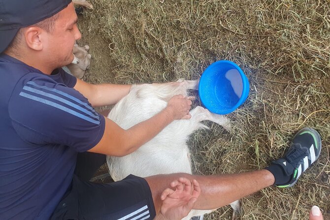Chania Area: Cooking Class at a Farm in Stylos Village (organic) - Starting at Veggera Farm in Stylos