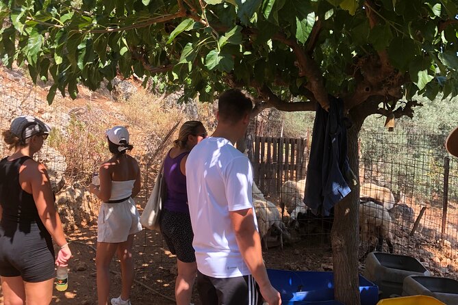Chania Area: Cooking Class at a Farm in Stylos Village (organic) - Who will enjoy this most