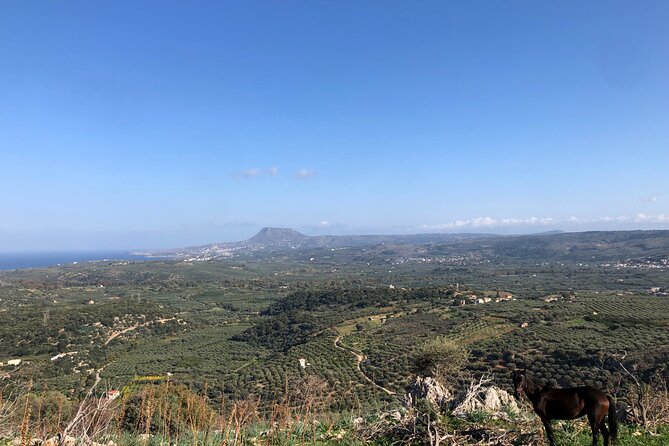 Chania Area: Cooking Class at a Farm in Stylos Village (organic) - Meeting the animals and seeing farm life