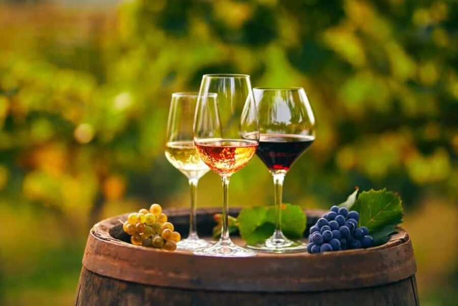 Chania Area: Food Tasting Tour with Winery Visit & Swim Stop - Why this Chania food tour works