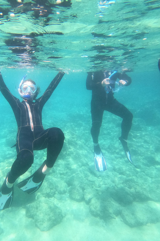 Chania: Boat Trip with Guided Snorkeling Tour - Is $88 a fair price?