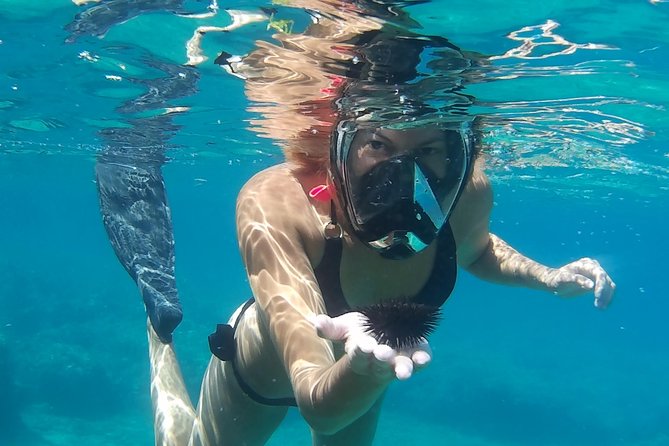 Chania: Boat Trip with Guided Snorkeling Tour & SUP - The people make the difference
