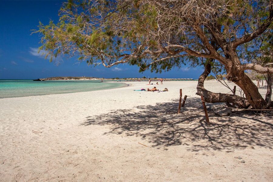 Chania: Elafonisi and Milia Mountain with Loungers and Lunch - Lunch at Milia Mountain Retreat