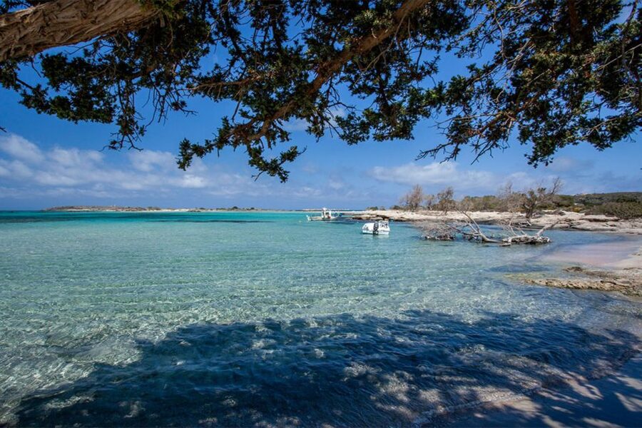 Chania: Elafonisi and Milia Mountain with Loungers and Lunch - Price, comfort, and what to pack