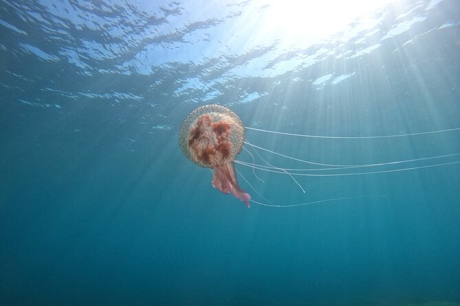 Chania Guided Snorkeling and Boat Excursion - The boat ride along the Chania coast