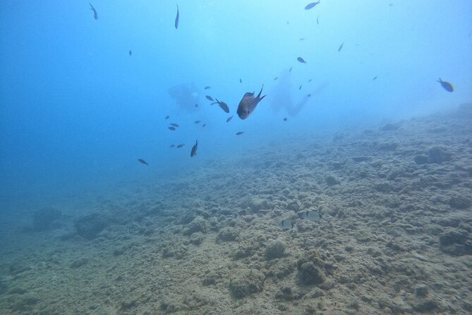 Chania Guided Snorkeling and Boat Excursion - Fresh fruit and water between the stops
