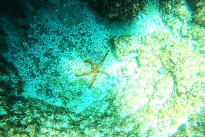 Chania Guided Snorkeling and Boat Excursion - Second stop: more swimming, snorkeling, or quiet time