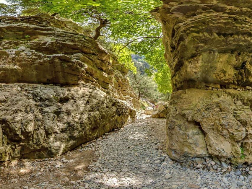 Chania: Imbros Gorge and Libyan Sea Day Tour - Timing, pace, and the real length of the day