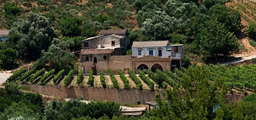 Chania: Milia Mountain Tour w/Lunch Olive Oil/Wine Tastings - Milia Mountain Retreat and the long Cretan lunch