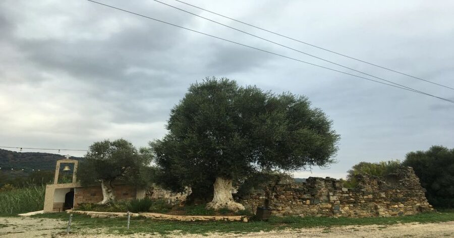 Chania Monasteries Private Tour: A Greek Orthodoxy Tribute - Key points to know before booking