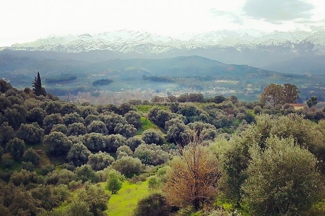 Chania Nature & Villages, White Mountains & Unique Cretan Lunch - Theriso Gorge and the village church