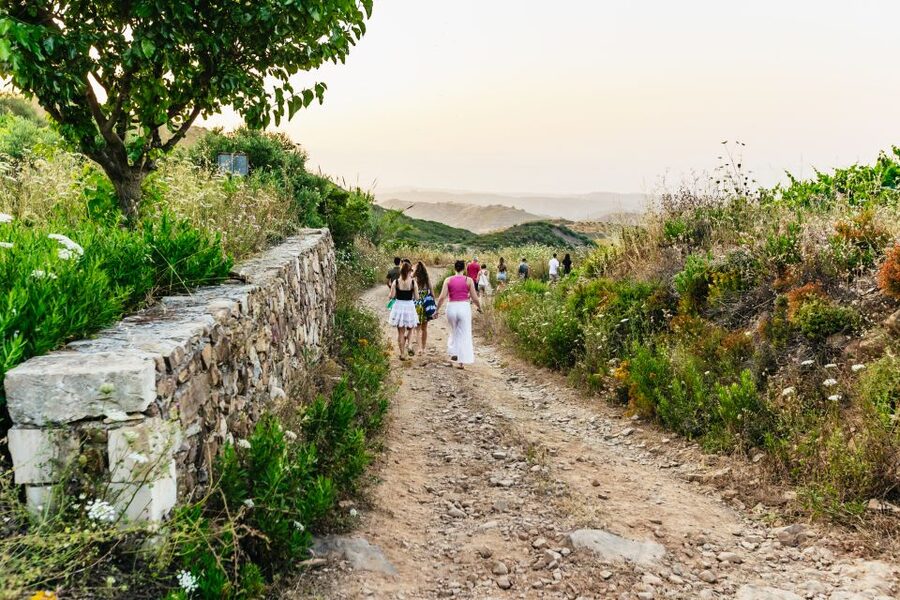 Chania: Off-Road Tour at Sunset - Who will enjoy this off-road sunset safari