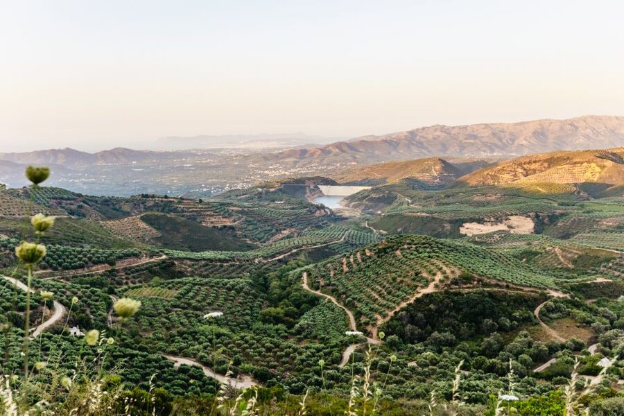 Chania: Off-Road Tour at Sunset - Should you book the Chania sunset safari?