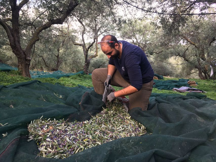 Chania Private Olive Oil Tour: Oil Tasting & Villages Tour - A village valley, coffee, and lunch