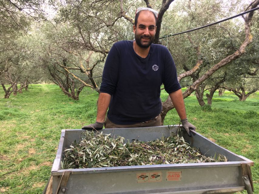 Chania Private Olive Oil Tour: Oil Tasting & Villages Tour - Timing, pickup, and the value of $176
