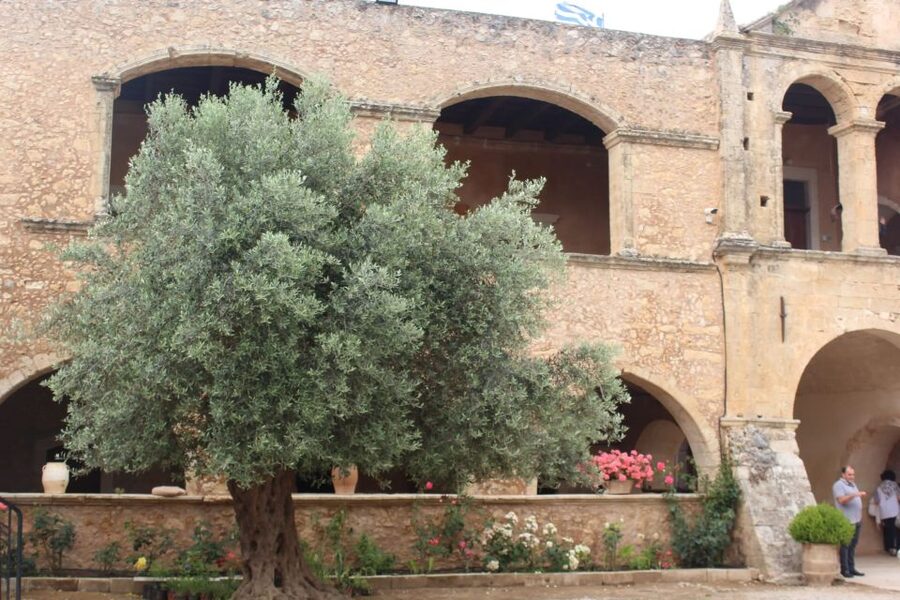 Chania Private Olive Oil Tour: Oil Tasting & Villages Tour - From olive groves to a medieval mill