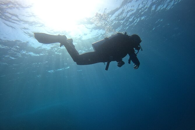 Chania Scuba Diving 2 Shore Dives(Receive Certification) - The second 45-minute session