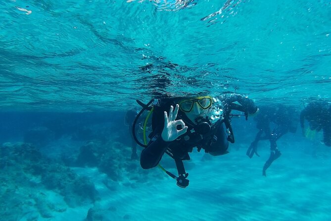 Chania: Scuba Diving for Beginners - A calm first step into Crete’s underwater world