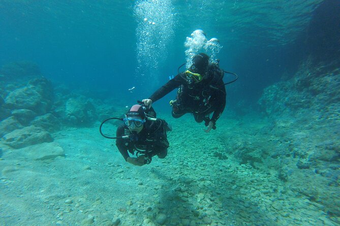 Chania: Scuba Diving for Beginners - A shore-based session at a manageable depth