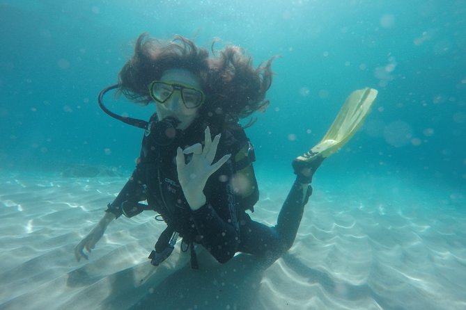 Chania: Scuba Diving for Beginners - Marine life, photos, and the memory you take home