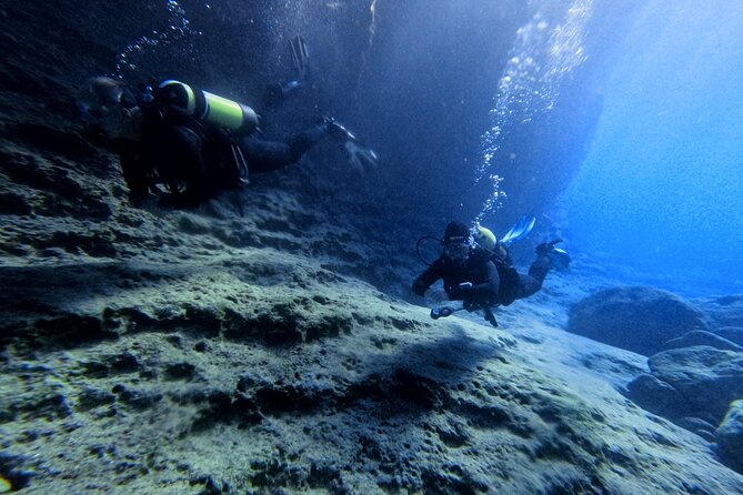 Chania Scuba Diving | Shore Dives | Certified Divers - What you may see below the surface