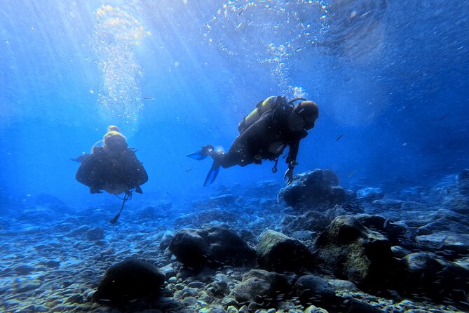 Chania Scuba Diving | Shore Dives | Certified Divers - Is $144.49 good value?