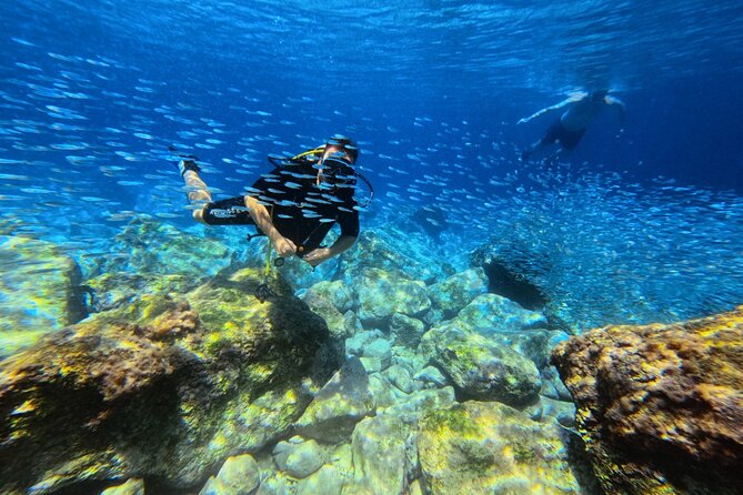 Chania Scuba Diving | Shore Dives | Certified Divers - Who will enjoy this outing most?